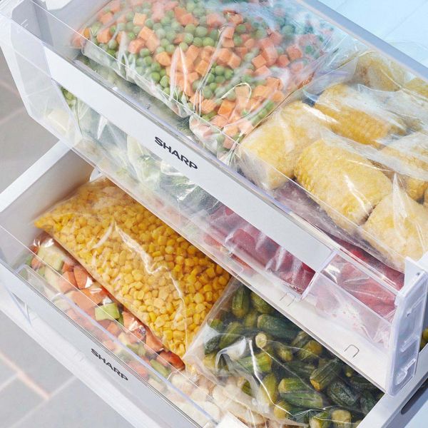 ديب شارب 250 لتر راسى مFJ-EC23(BK)